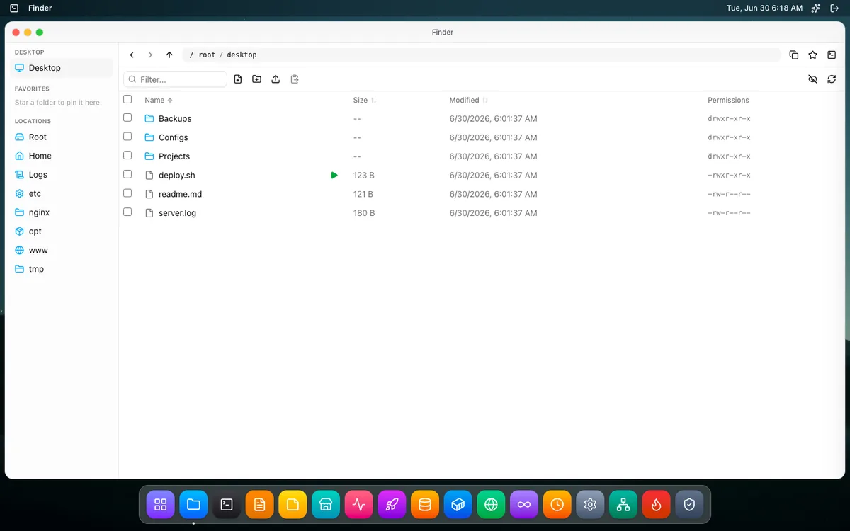 File Manager