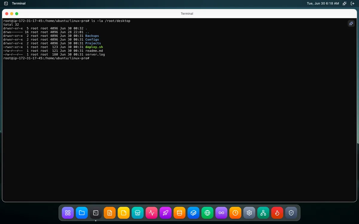 Real Terminal